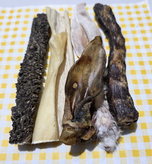 'Chew Chew' Bundle