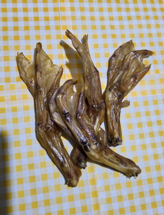 Duck Feet