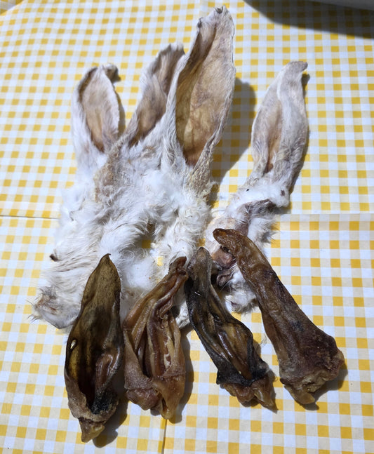 'Ear Ear' Bundle