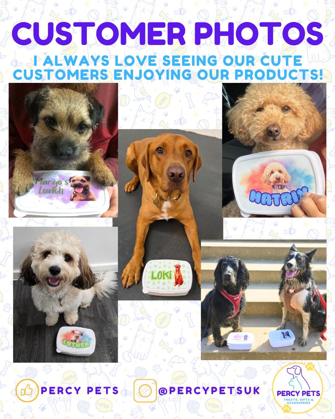 Personalised Pet Lunch/Treat Box