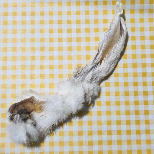 Rabbit Ears