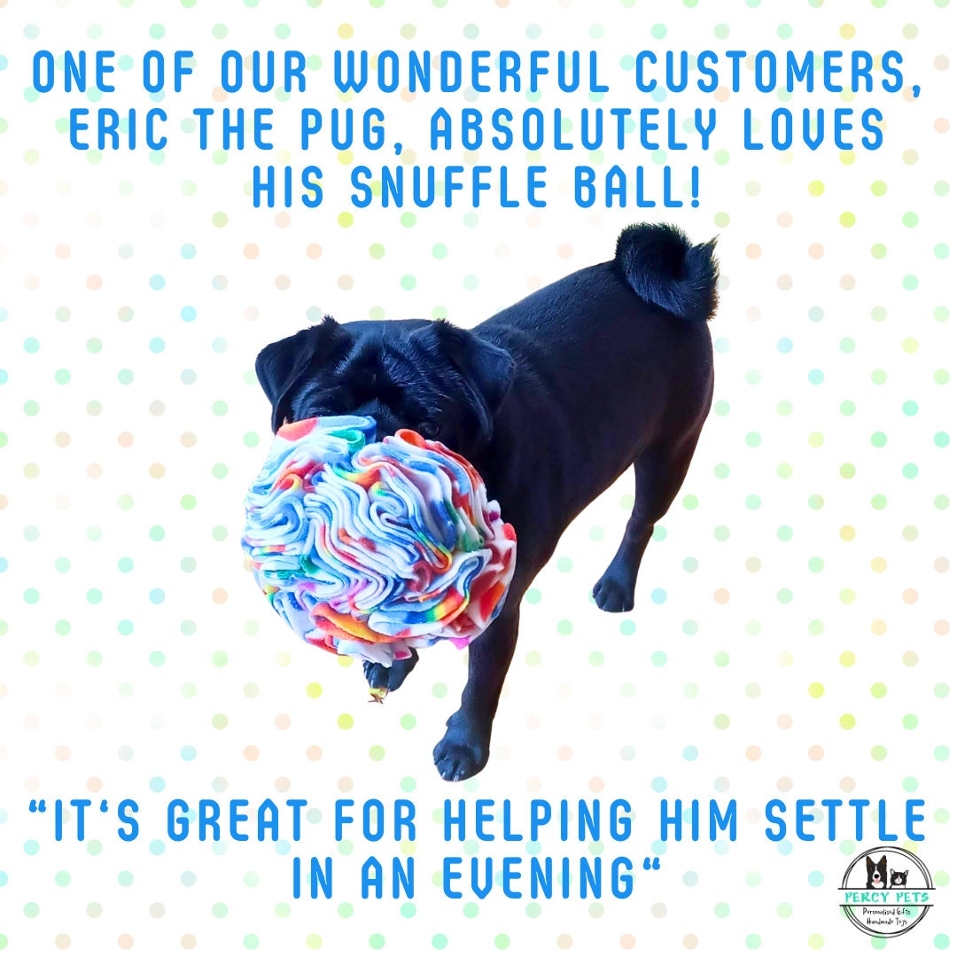 Snuffle Ball - great enrichment for dogs of all ages!