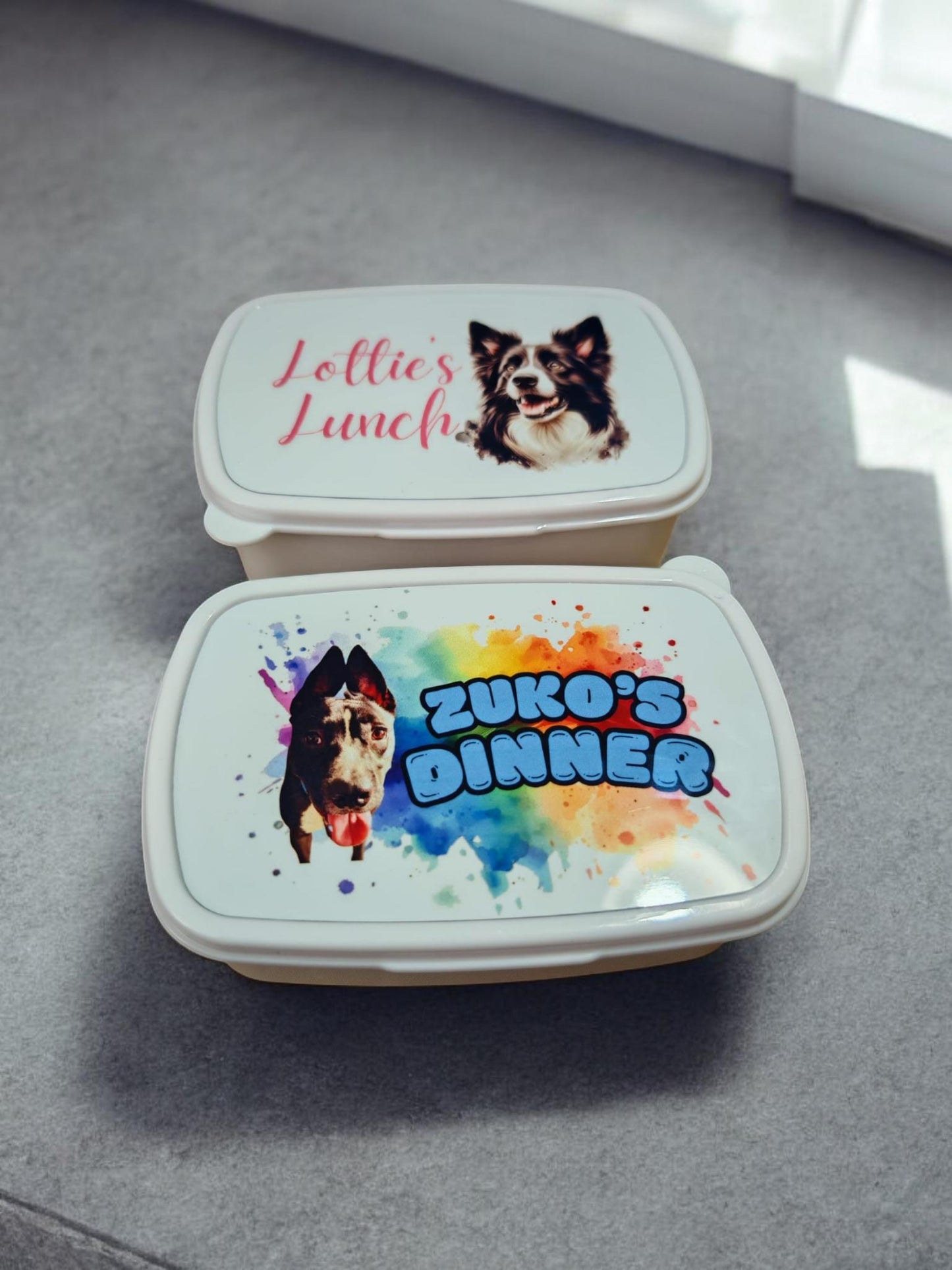 Dog Personalised Lunch Box for your pet, treat box, snack box, customised, pet treat storage, pet food storage, lunchbox, snack tub