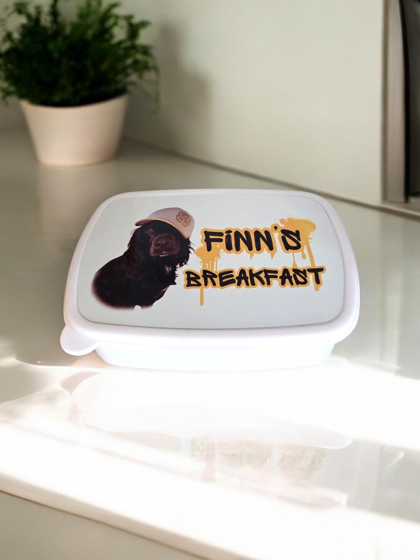 Dog Personalised Lunch Box for your pet, treat box, snack box, customised, pet treat storage, pet food storage, lunchbox, snack tub