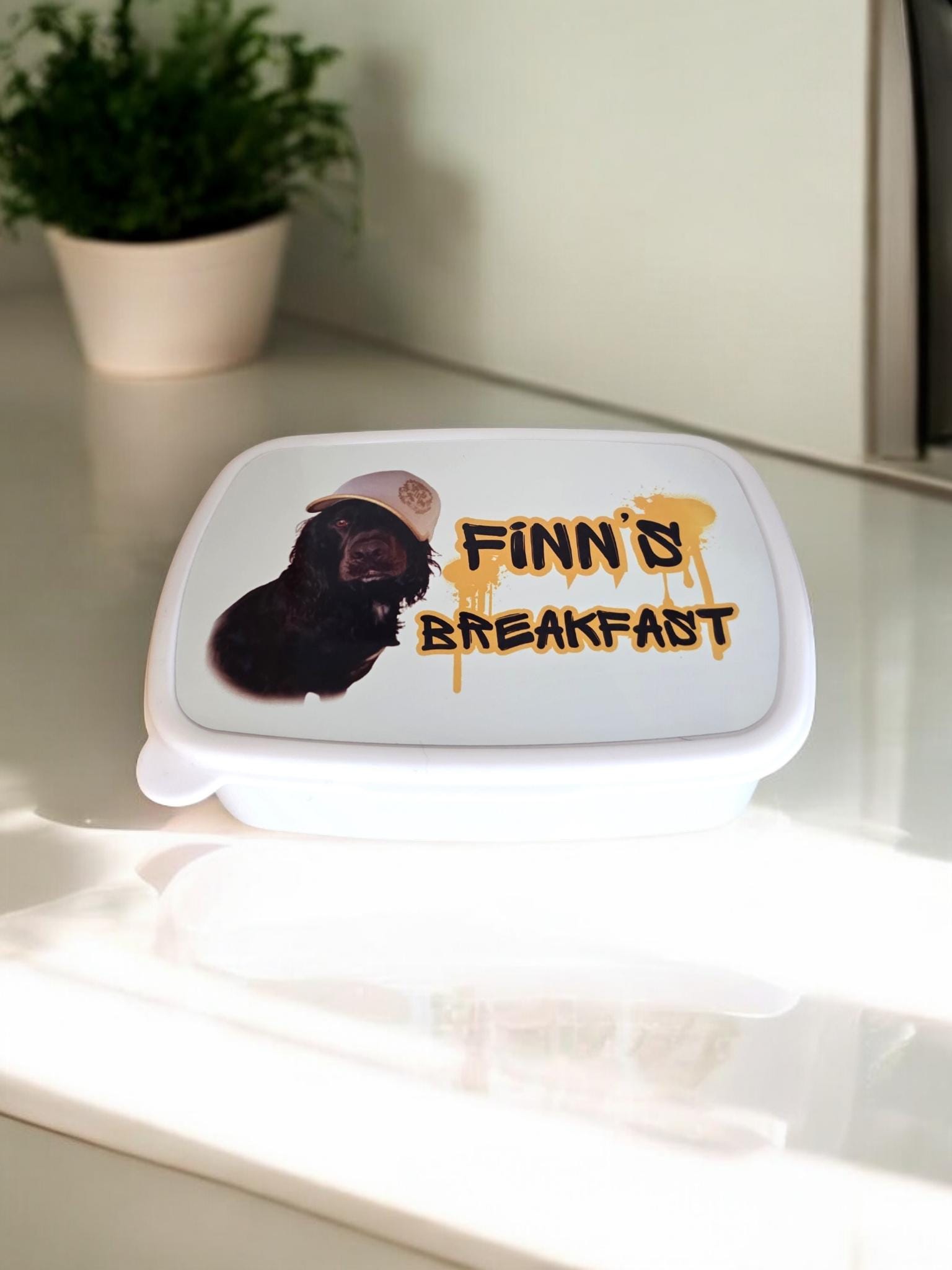 Dog Personalised Lunch Box for your pet, treat box, snack box, customised, pet treat storage, pet food storage, lunchbox, snack tub