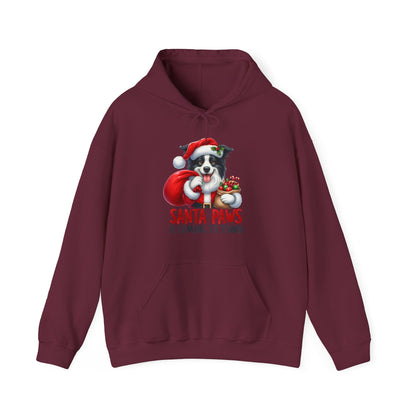 Santa Paws Hoodie — Cute Border Collie Christmas Sweatshirt