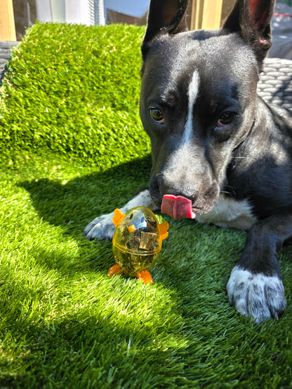 Dog Easter Treats!