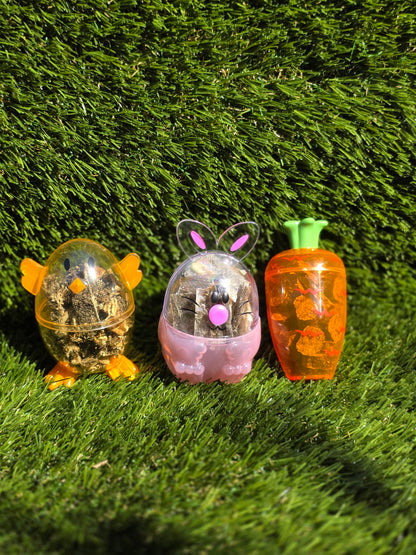 Dog Easter Treats!
