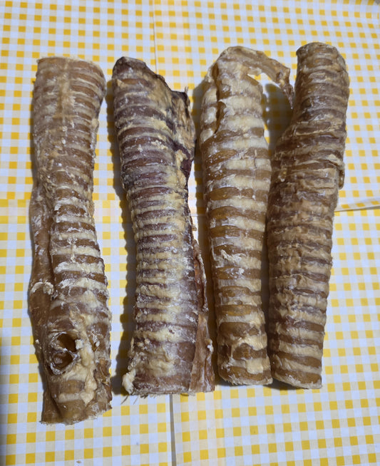 XL Beef Tracheas