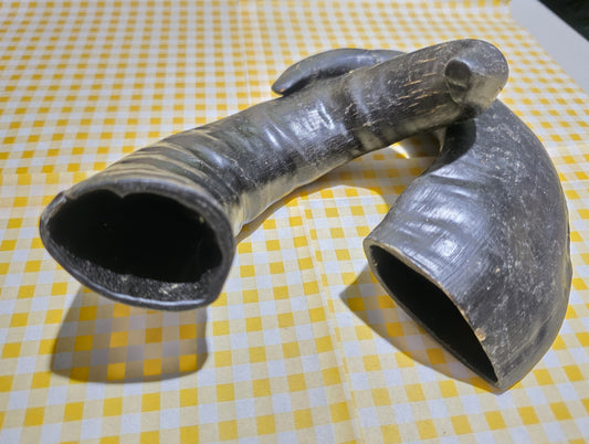 Buffalo Horn - Large