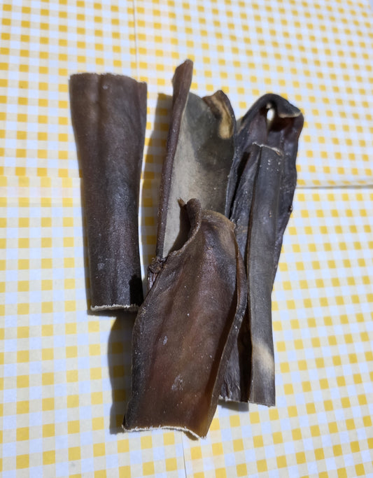 Camel Skin