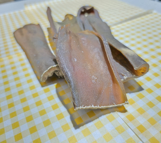 Camel Skin