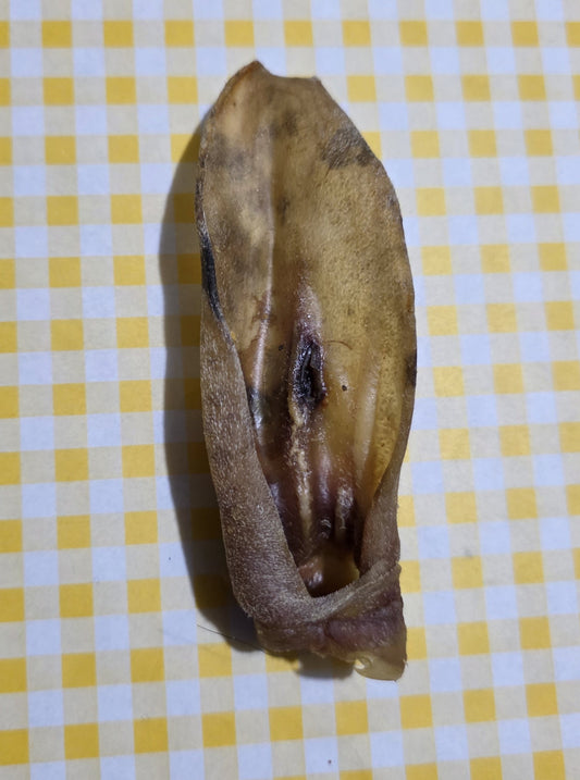 Lamb Ears