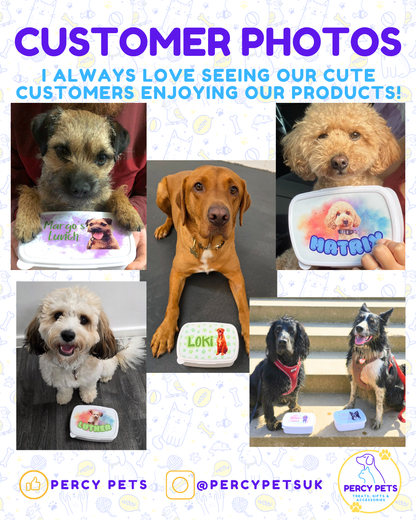 Personalised Pet Lunch/Treat Box