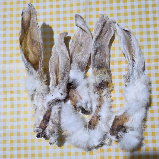 Rabbit Ears