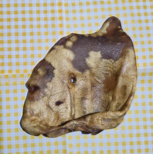 XL Pig Ears
