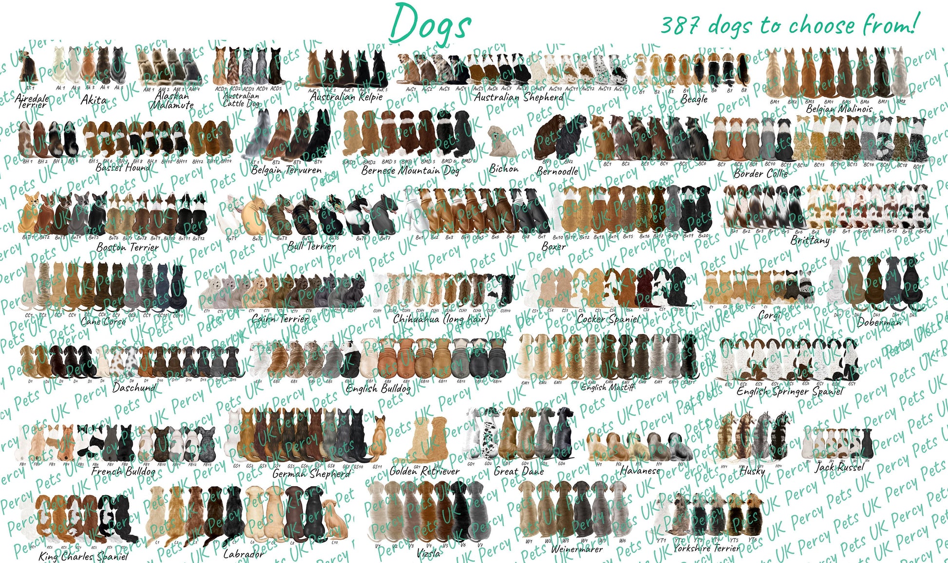 Personalised owner and pet print (customised gift, Birthday print, pet dad, in memory of pet, pet gift, pet and owner print)