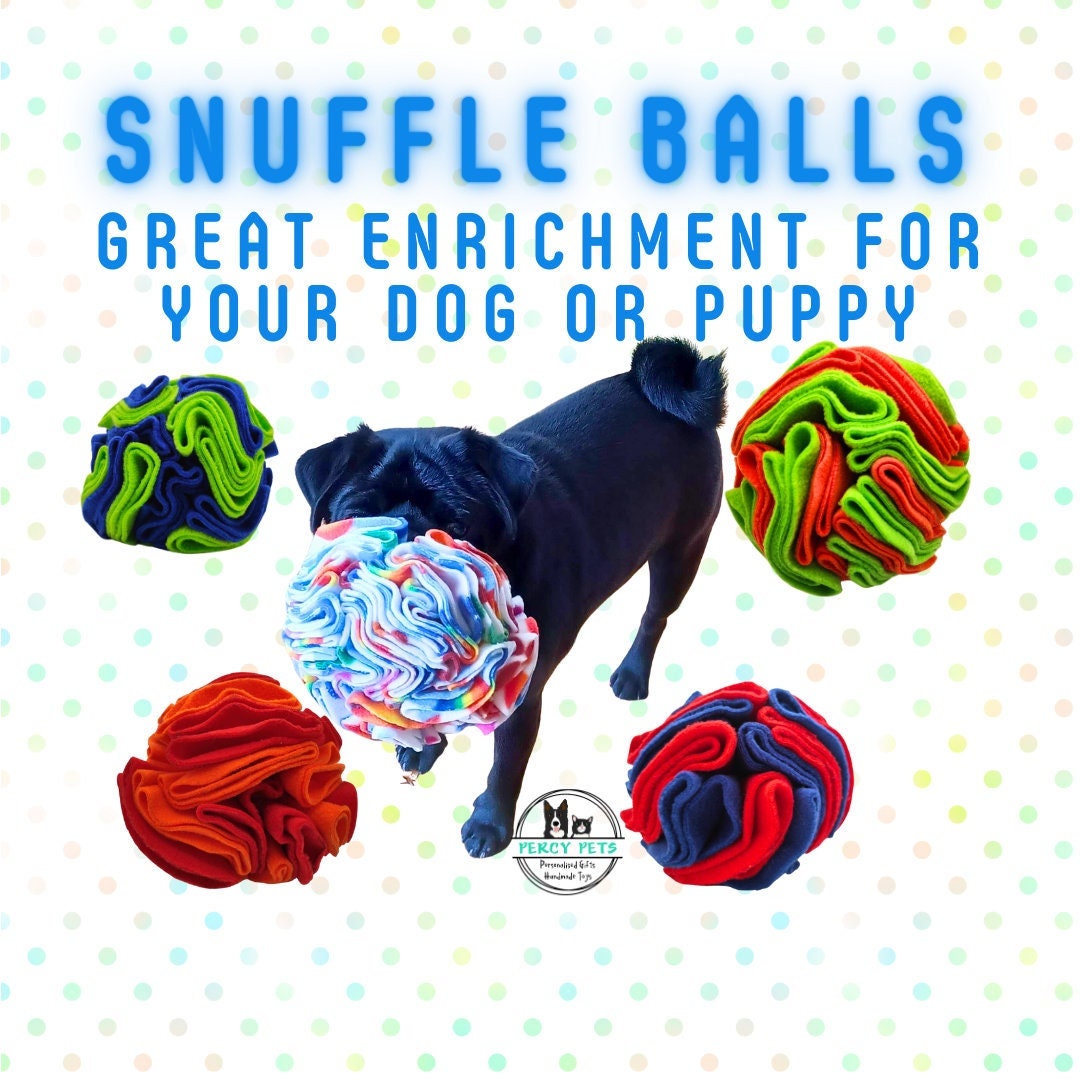 Snuffle Ball - great enrichment for dogs of all ages!