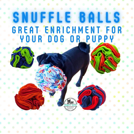 Snuffle Ball - great enrichment for dogs of all ages!