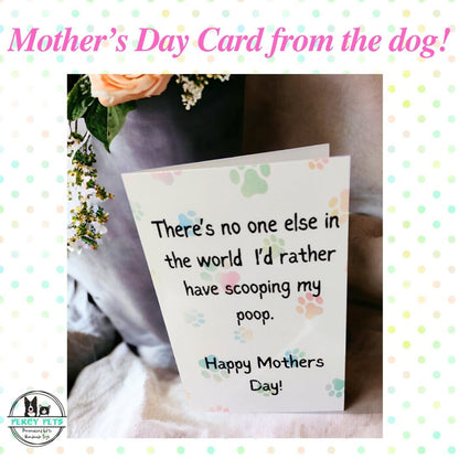 Mother's Day Card from the dog